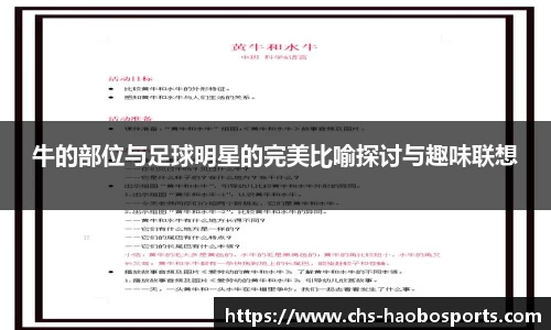 牛的部位与足球明星的完美比喻探讨与趣味联想